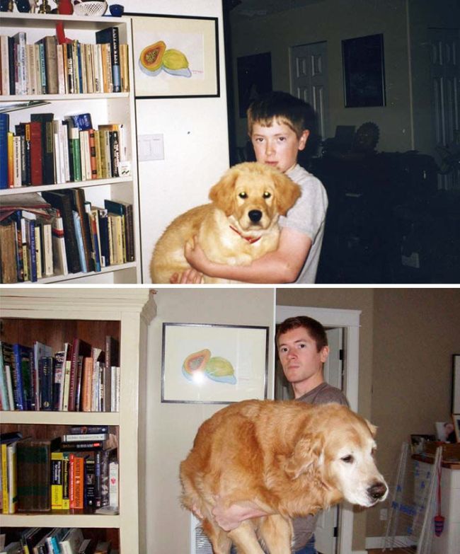 Before And After Pics Of Dogs Growing Up With Their Owners (35 pics)