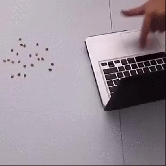 Acid Gifdump, November 18, 2016 (25 gifs)