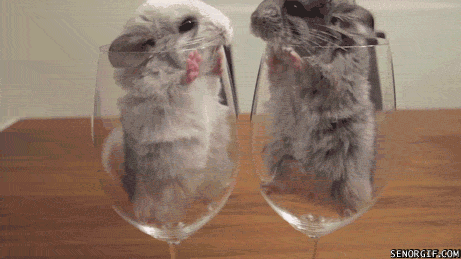 Acid Gifdump, November 18, 2016 (25 gifs)