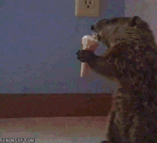 Acid Gifdump, November 18, 2016 (25 gifs)