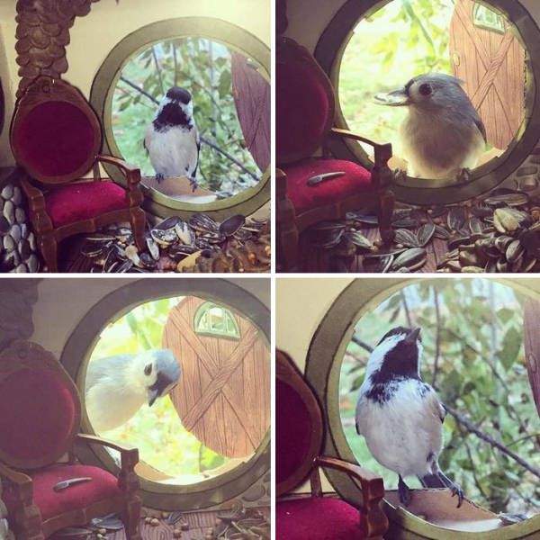 Woman Creates Adorable Tiny Houses For Her Little Bird Friends (8 pics)
