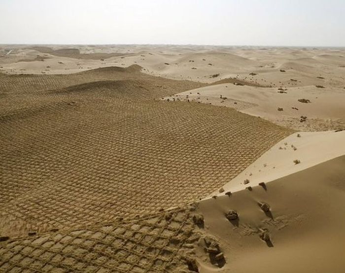 China Is Trying To Turn Parts Of The Desert Green (4 pics)