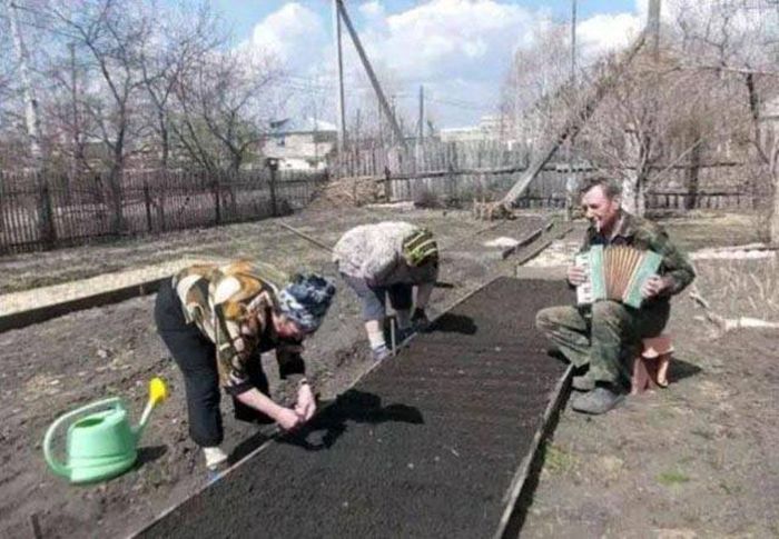 Kind Gentlemen Who Know How To Treat A Lady (42 pics)