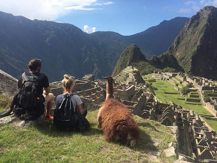 This World Is Beautiful And Humans Are Meant To Explore It (23 pics)