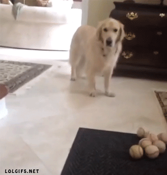 Acid Gifdump, November 23, 2016 (25 gifs)