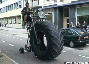 Acid Gifdump, November 23, 2016 (25 gifs)