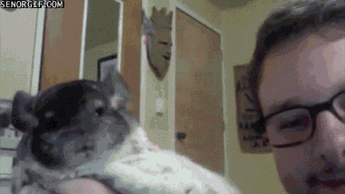 Acid Gifdump, November 23, 2016 (25 gifs)