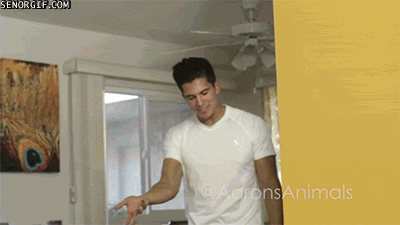 Acid Gifdump, November 23, 2016 (25 gifs)