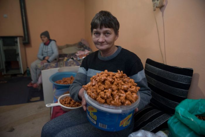 Kinder Egg Slaves Work Long Hours For Little Pay (9 pics)