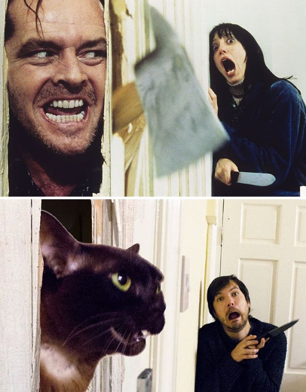 Guy Uses His Cats To Hilariously Recreate Scenes From Iconic Movies (5 pics)