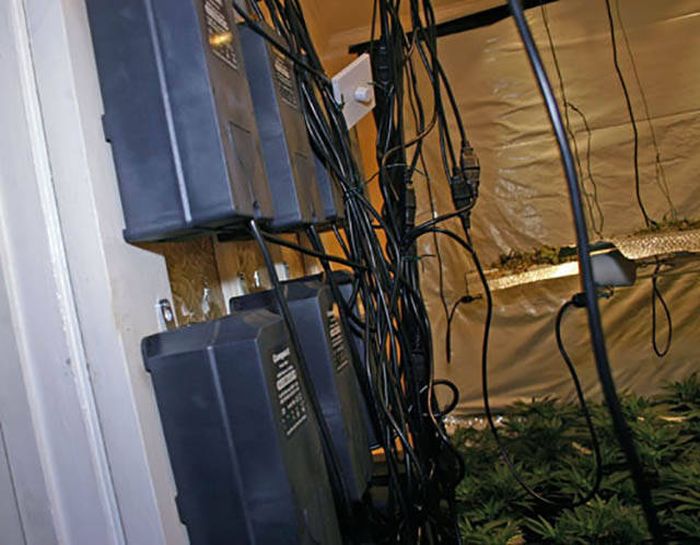 Police Find A Huge Marijuana Stash After Neighbors Report An Unusual Smell (9 pics)