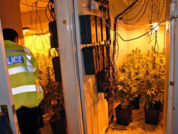 Police Find A Huge Marijuana Stash After Neighbors Report An Unusual Smell (9 pics)