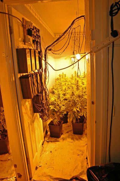 Police Find A Huge Marijuana Stash After Neighbors Report An Unusual Smell (9 pics)