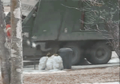 People Who Went Completely Insane At Work (16 gifs)