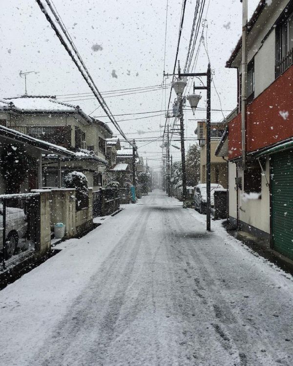 For The First Time In 54 Years It Snowed In Tokyo (11 pics)