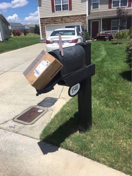 There's No Doubt About It, These People Totally Nailed It (39 pics)