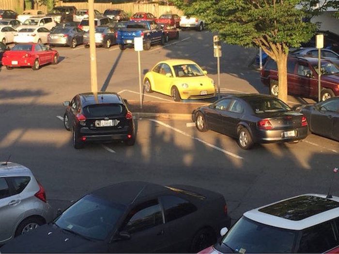 There's No Doubt About It, These People Totally Nailed It (39 pics)