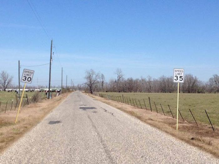 There's No Doubt About It, These People Totally Nailed It (39 pics)