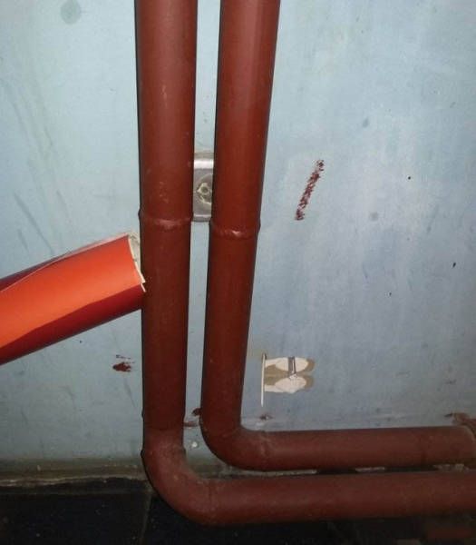 There's No Doubt About It, These People Totally Nailed It (39 pics)
