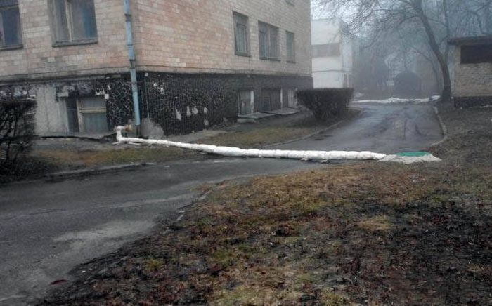 There's No Doubt About It, These People Totally Nailed It (39 pics)