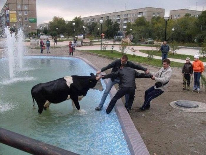 Russia Is A Special Place That Will Make You Say WTF (40 pics)