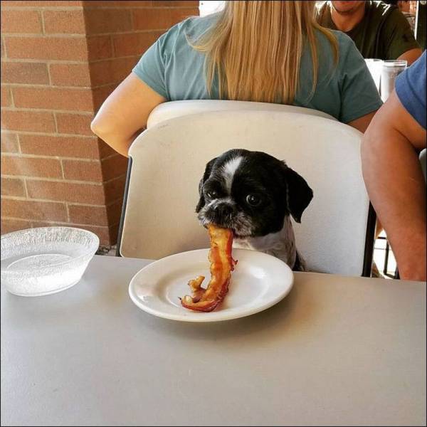 Acid Picdump (100 pics)