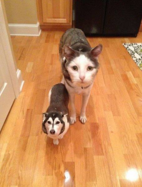 Acid Picdump (100 pics)