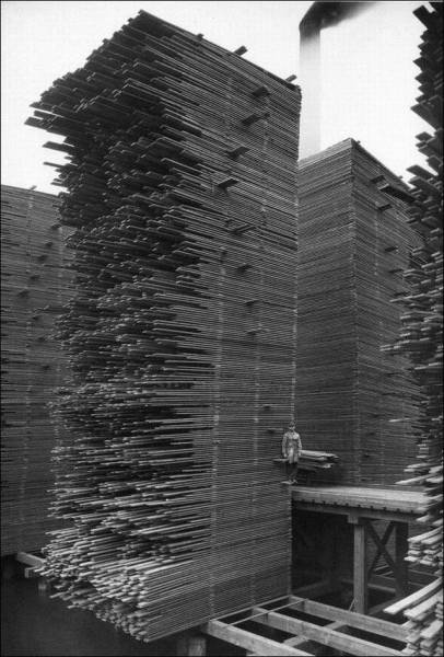 Acid Picdump (100 pics)