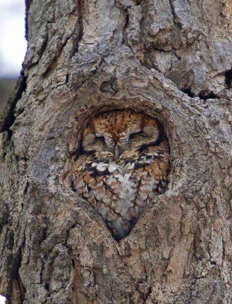 Acid Picdump (100 pics)