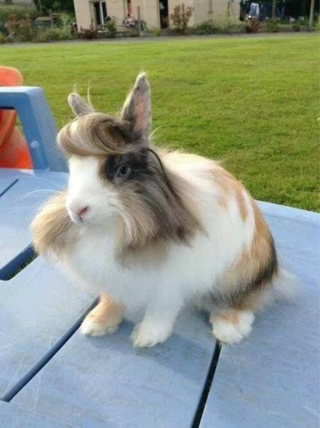 Acid Picdump (100 pics)