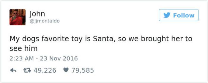 Santa Loving Dog Has Hilarious Reaction When She Meets Santa (10 pics)