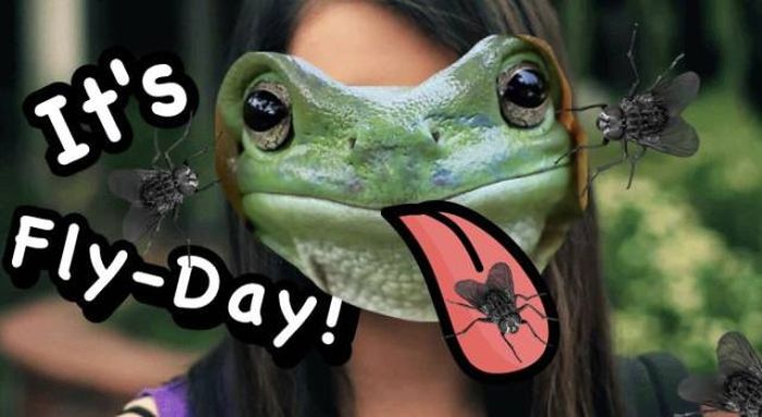 Frog That Looks Like Princess Leia Gets The Photoshop Battle Treatment (38 pics)