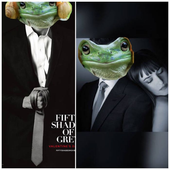 Frog That Looks Like Princess Leia Gets The Photoshop Battle Treatment (38 pics)