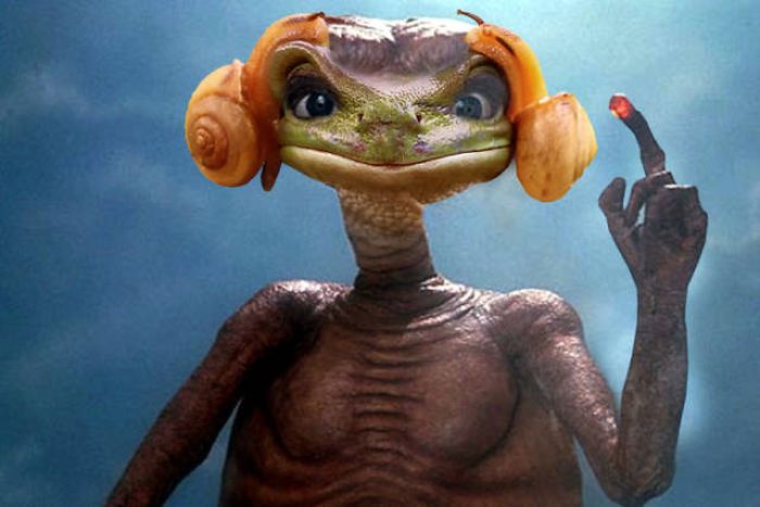 Frog That Looks Like Princess Leia Gets The Photoshop Battle Treatment (38 pics)