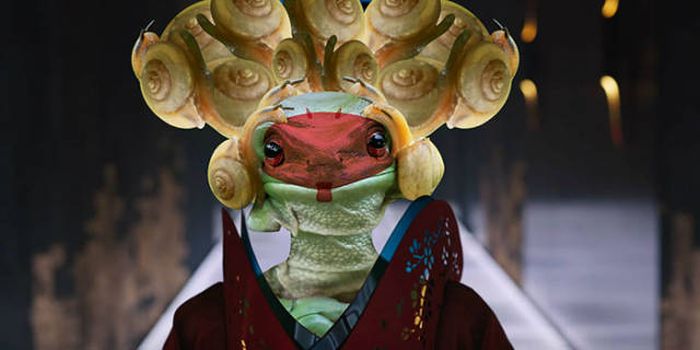 Frog That Looks Like Princess Leia Gets The Photoshop Battle Treatment (38 pics)