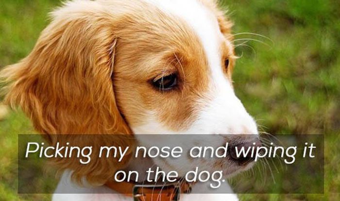People Share Some Of Their Most Embarrassing Weaknesses (27 pics)