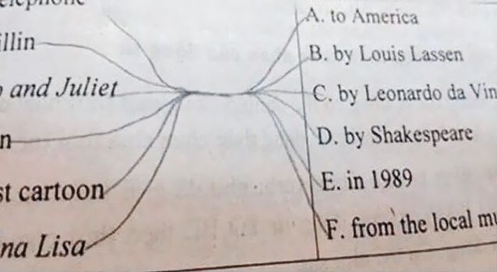 How To Answer Exam Questions When You Haven’t Studied (30 pics)