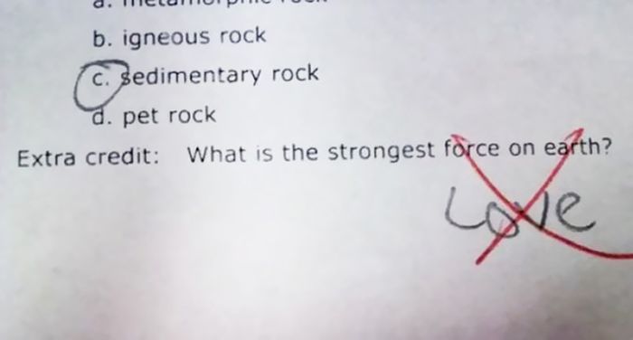 How To Answer Exam Questions When You Haven’t Studied (30 pics)