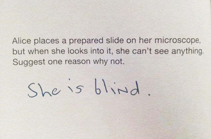 How To Answer Exam Questions When You Haven’t Studied (30 pics)