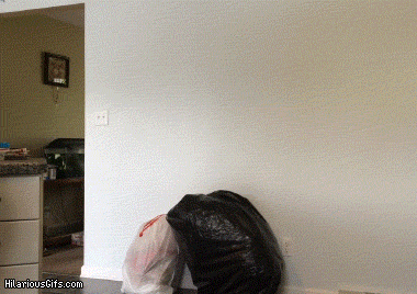 Watching Other People Get Scared Will Always Be Hilarious (15 gifs)