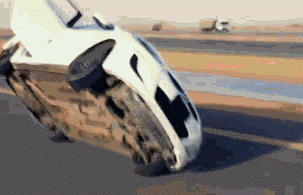 Acid Gifdump, November 30, 2016 (25 gifs)