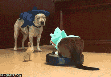 Acid Gifdump, November 30, 2016 (25 gifs)