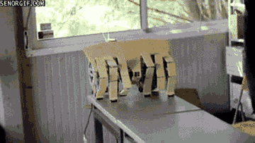 Acid Gifdump, November 30, 2016 (25 gifs)