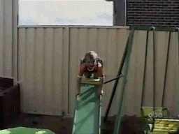 Acid Gifdump, November 30, 2016 (25 gifs)