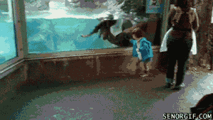 Acid Gifdump, November 30, 2016 (25 gifs)