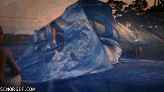 Acid Gifdump, November 30, 2016 (25 gifs)