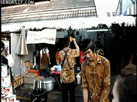 Acid Gifdump, November 30, 2016 (25 gifs)