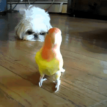 Acid Gifdump, November 30, 2016 (25 gifs)