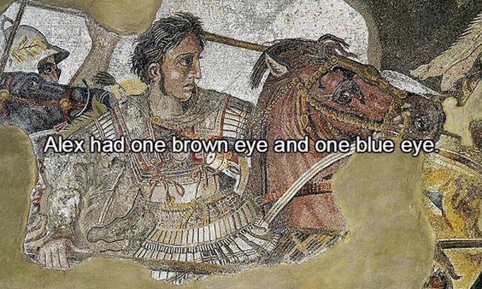 Interesting Facts You Need To Know About Alexander The Great (15 pics)