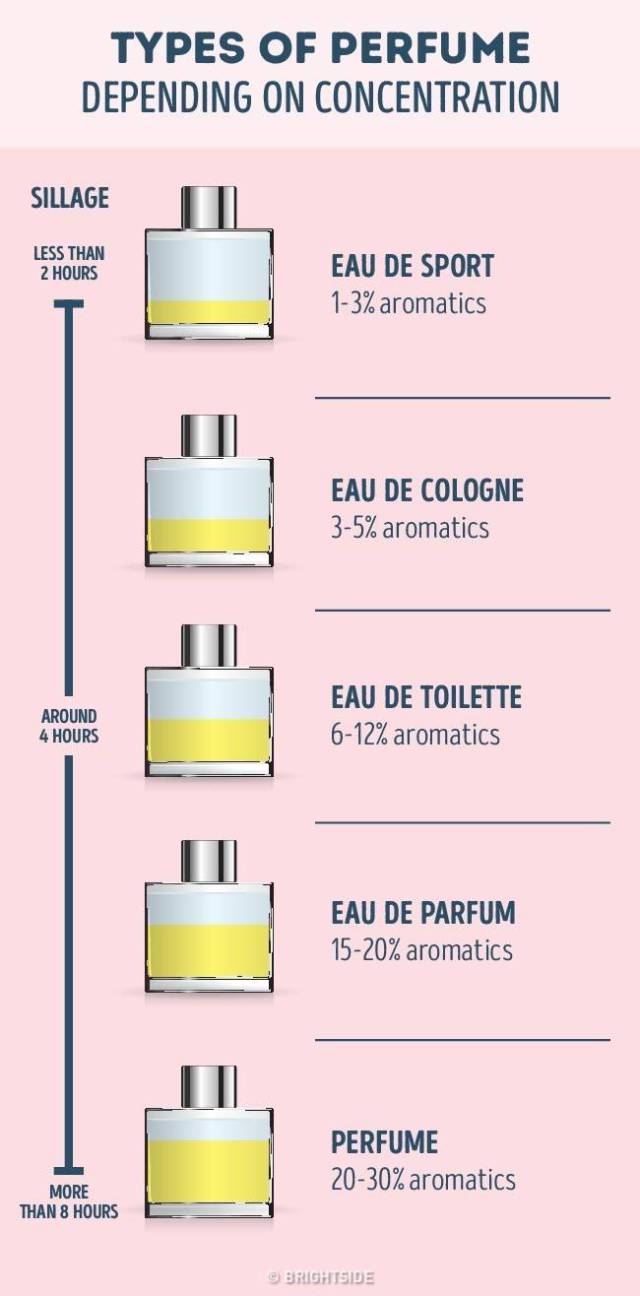 A Guide To Perfume For Aspiring Perfume Connoisseurs (7 pics)